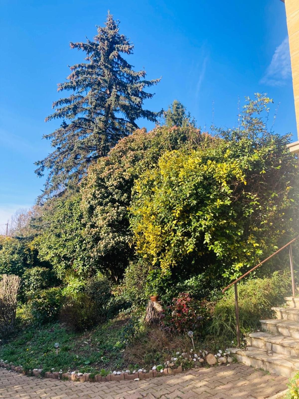 La Petite Noix Daire Sarlat-la-Canéda Dış mekan fotoğraf