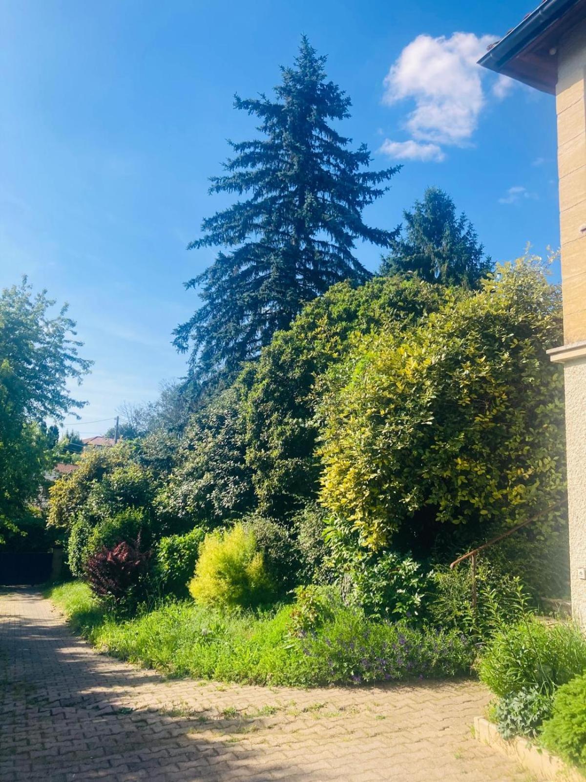 La Petite Noix Daire Sarlat-la-Canéda Dış mekan fotoğraf
